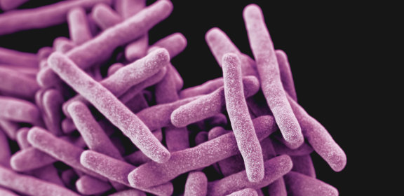 Gut health is very much about having a healthy microbiome - all of the right bacteria.