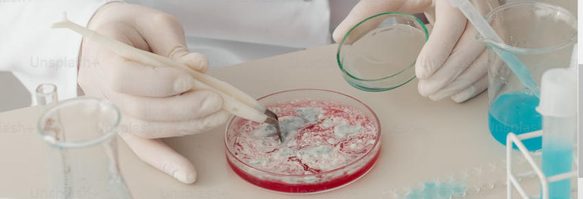 Get to know your friendly bacteria which create a healthy gut microbiome.